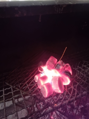 تیم مجرب و آموزش‌دیده‌